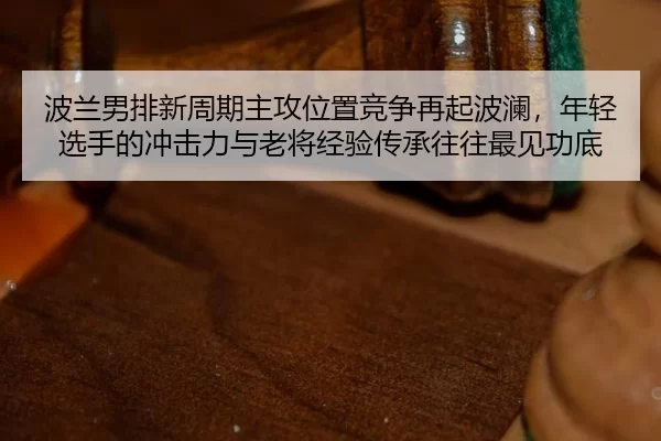 bo-lan-nan-pai-xin-zhou-qi-zhu-gong-wei-zhi-jing-zheng-zai-qi-bo-lan-nian-qing-xuan-shou-de-chong-ji-li-yu-lao-jiang-2-459.jpg